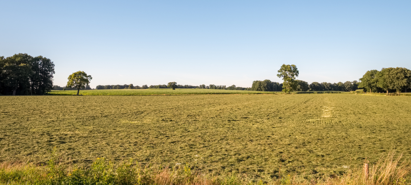 Subsidie voor natuur en landschap