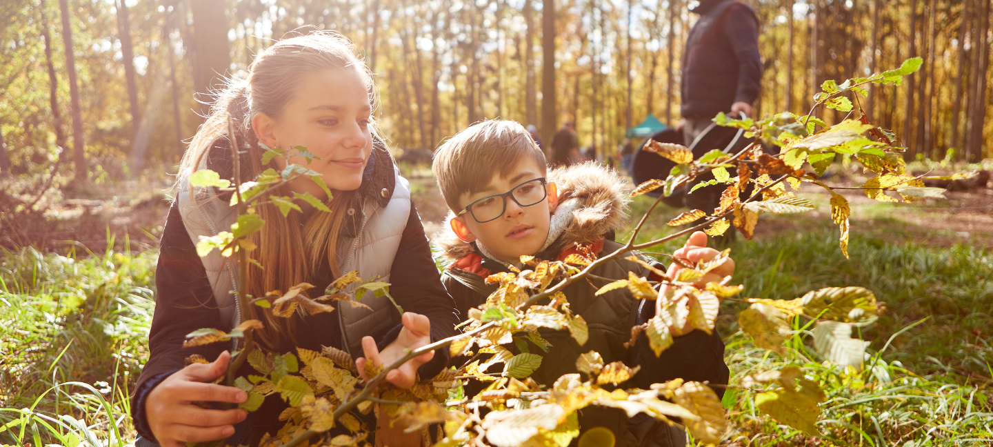 Milieueducatie - Milieu - Natuureducatie