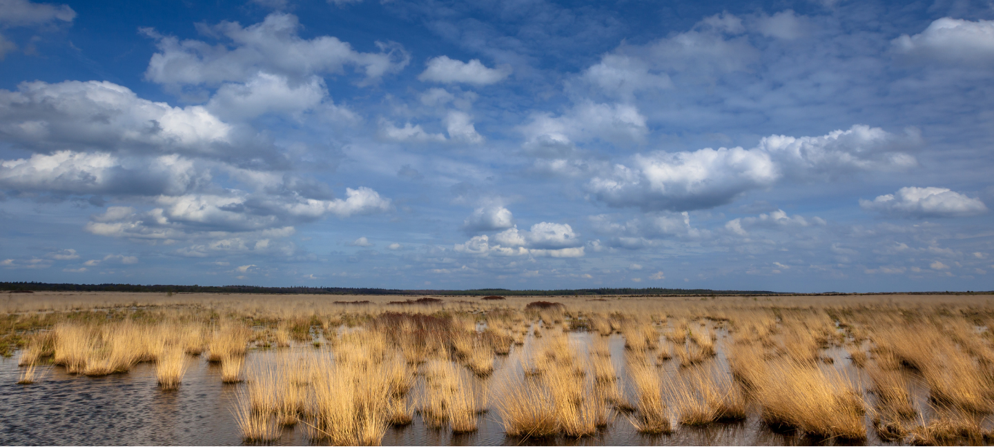 Natura2000 - Natura 2000 - Subsidie