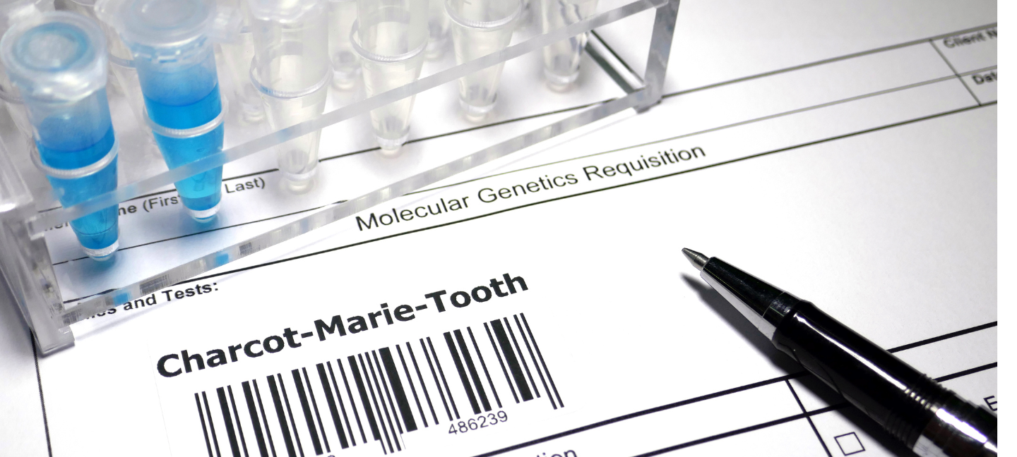 Charcot-Marie-Tooth - CMT - Onderzoek - Wetenschappelijk onderzoek