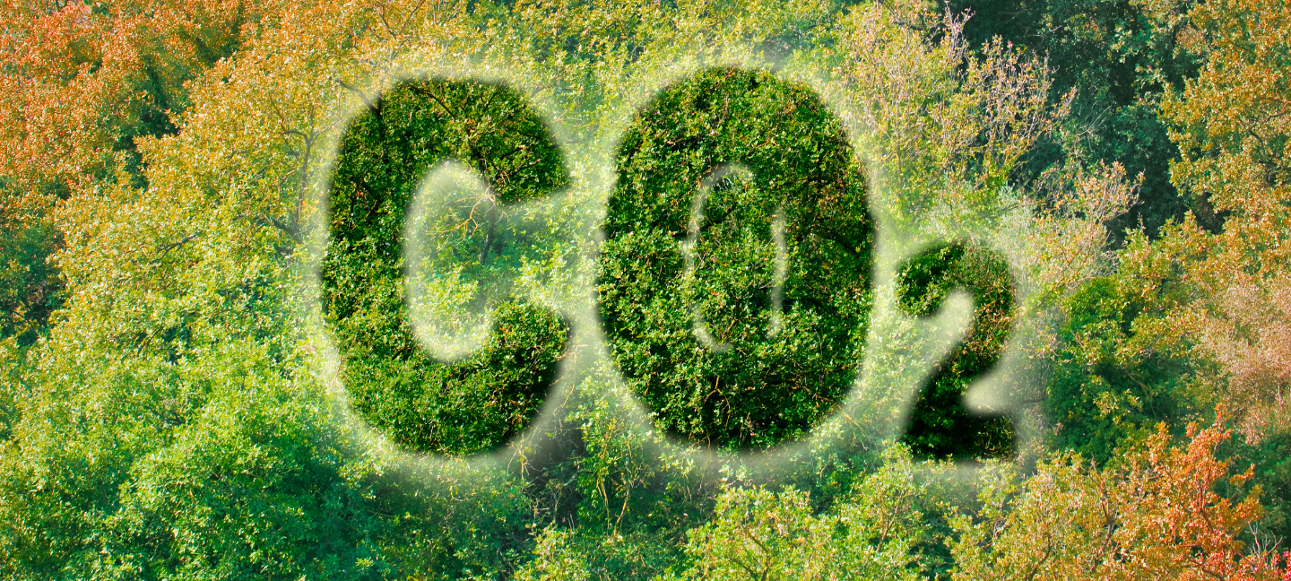 CO2- Milieu activisme - Natuurbescherming - Milieu