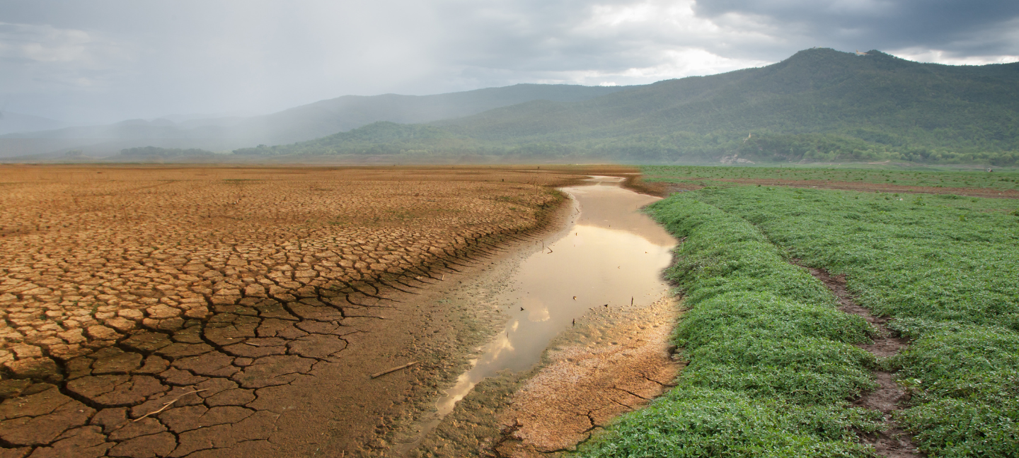 Klimaatverandering