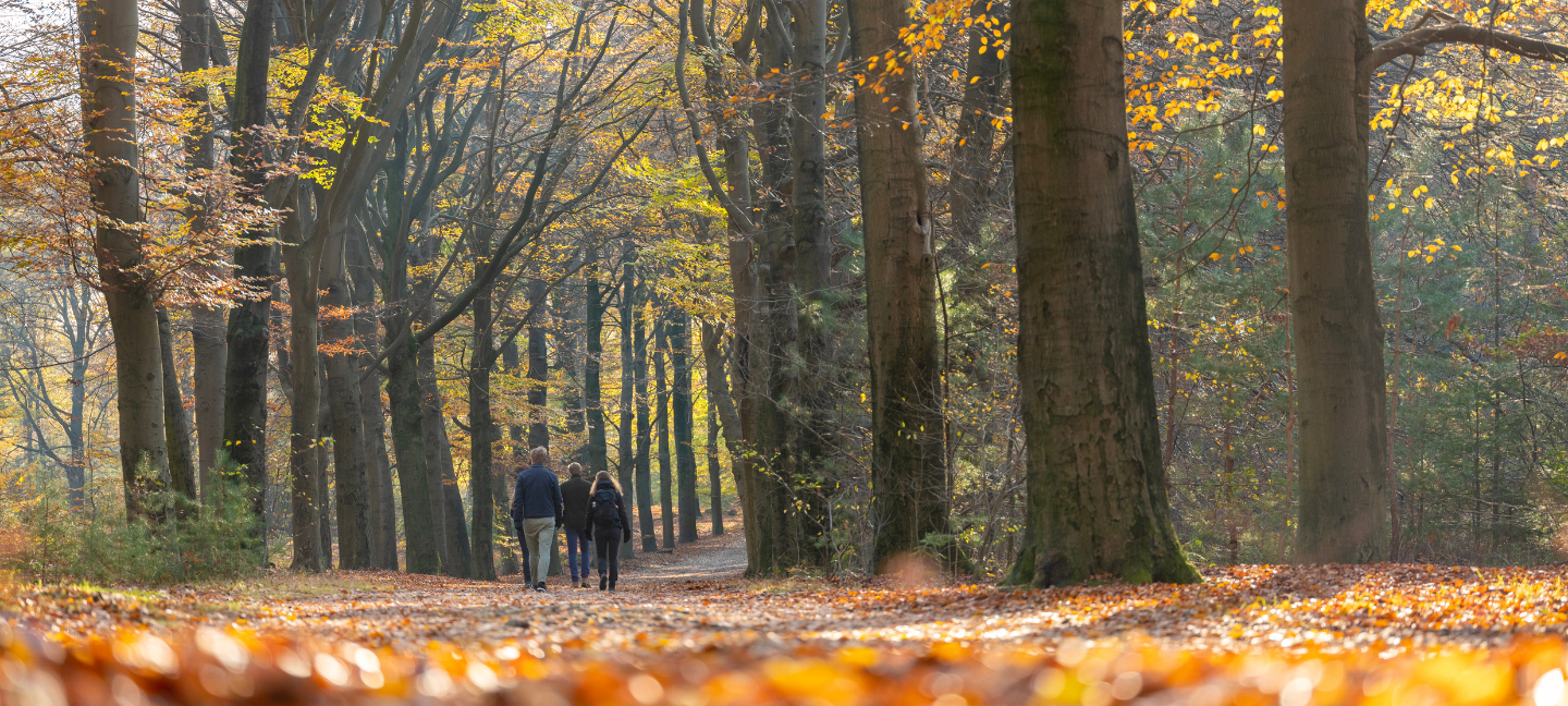 Natuur- Natuurbeleving